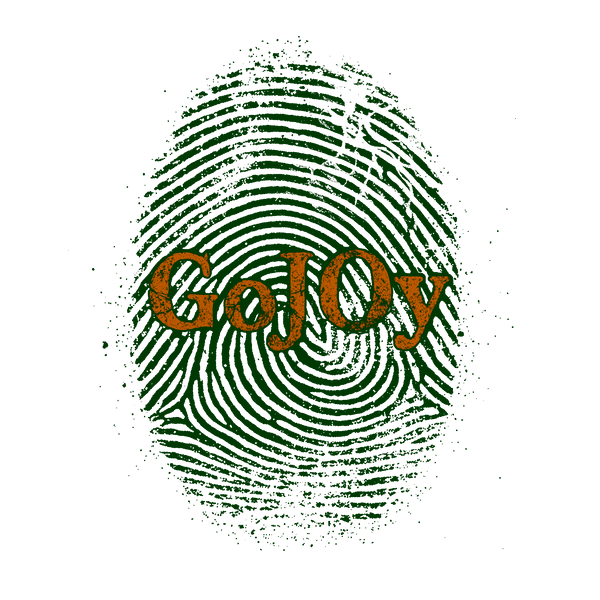 GoJOy LLC